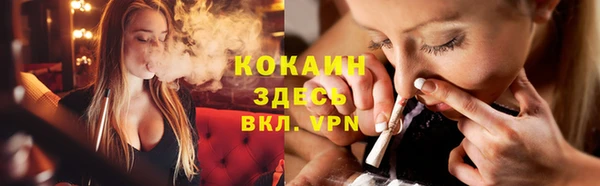индика Шали