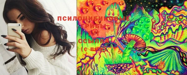 мяу мяу мука Абдулино