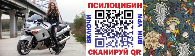 Галлюциногенные грибы мицелий  Ковров 